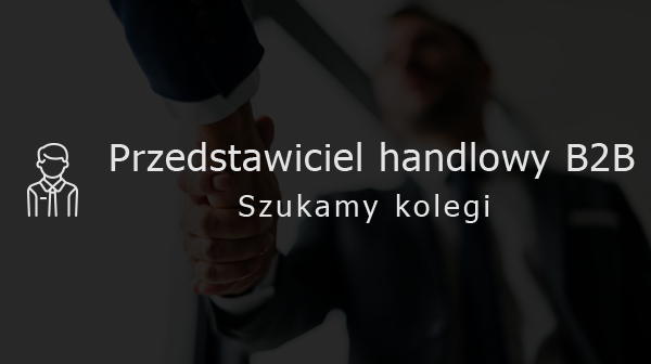Przedstawiciel handlowy B2B dla Polski (IT) – Bielsko-Biala